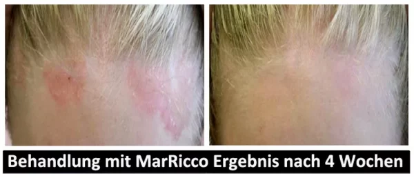 MarRicco - Body Repair Concentrate